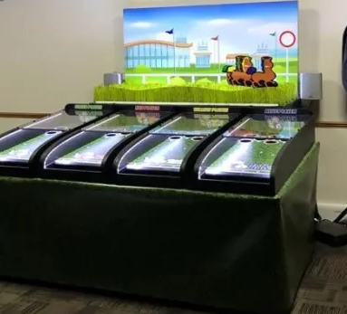 roll a ball donkey derby roll a ball donkey derby